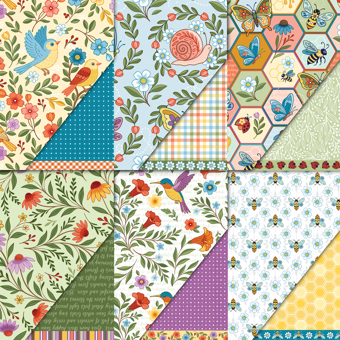 Nature's Whimzy Collection Variety Pack (12 Pack)